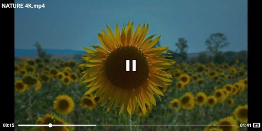 4K Video Player screenshot 2