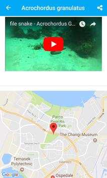 Singapore Flora and Fauna screenshot 3