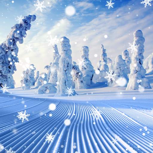 Winter Wallpaper 1.0.7