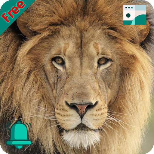 Natural Animal Sounds and HD Wallpaper 1.8