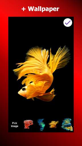 Betta Fish Lock Screen & Wallpaper screenshot 5