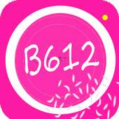 Cam B612 Selfie Expert 1.0
