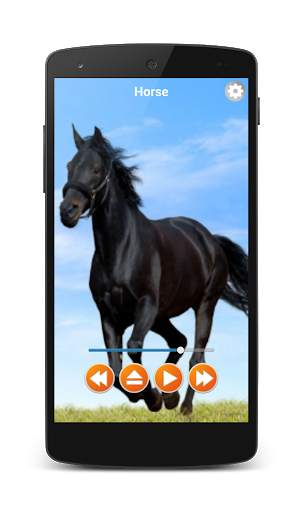 Animal Sounds Free Offline screenshot 4