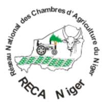 RECA on 9Apps