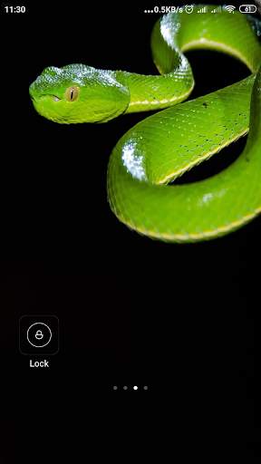 Snake Wallpaper screenshot 16