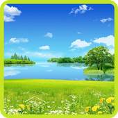 Beauty Nature Wallpaper 1.0