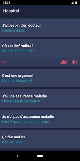 Travel Phrases screenshot 6