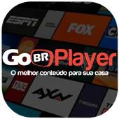 GoBR - Player 1.3