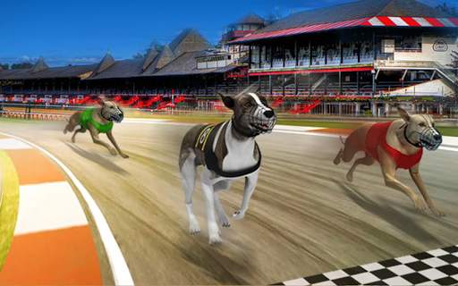 Dog real Racing  Derby Tournament: Dog Race Game screenshot 2