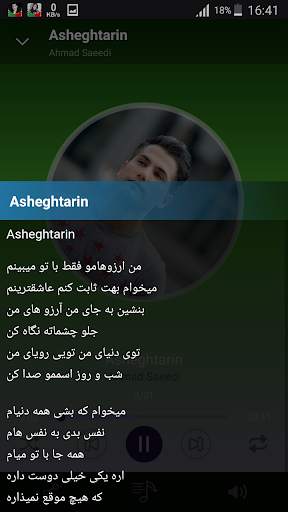 Ahmad Saeedi songs offline screenshot 1
