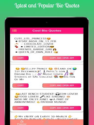 Bios Ideas for Social Media : Tik Bios screenshot 8
