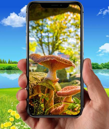 Nature Wallpapers screenshot 4
