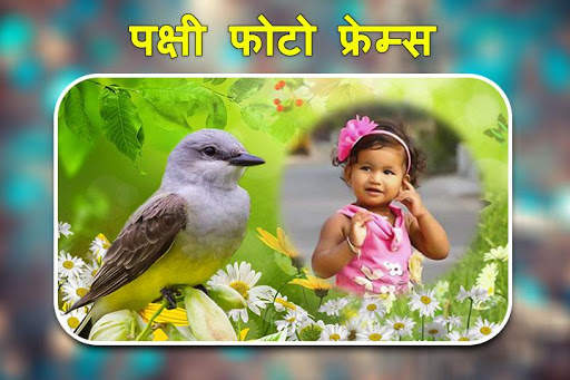 पक्षी फोटो फ्रेम्स। स्क्रीनशॉट 3