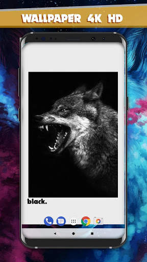Wolf  Wallpaper Free 2020 HD - 4K 🐺 screenshot 5