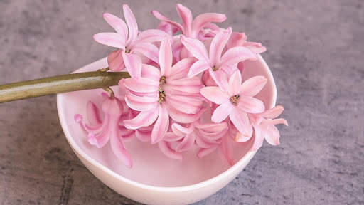 Pink Flowers Wallpaper screenshot 2