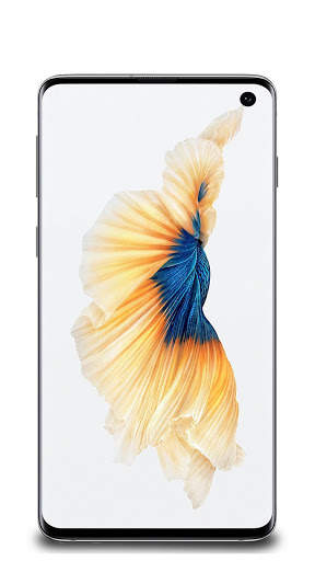 Fish Wallpaper screenshot 7