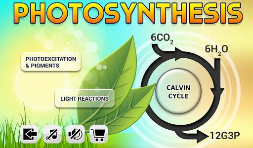 Biology Photosynthesis screenshot 13