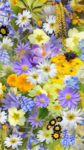 J2,J3,J5,J7 Samsung Flower Wallpapers screenshot 5