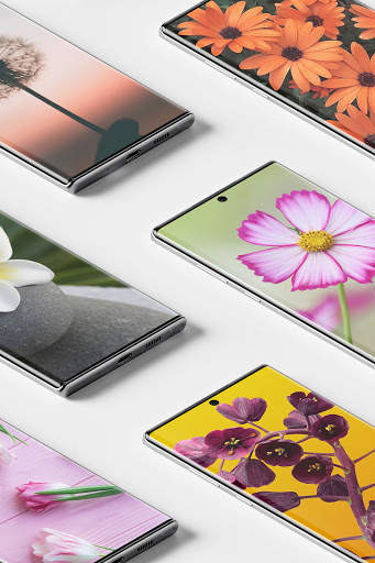 Flowers Wallpaper screenshot 6