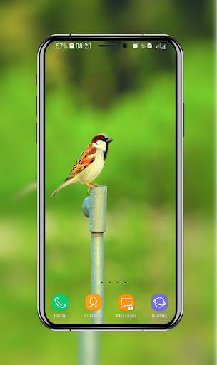 Birds Wallpaper screenshot 7