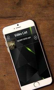 FLV Video Player screenshot 2