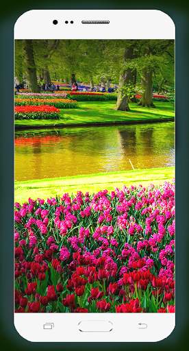 Garden Wallpaper HD screenshot 9