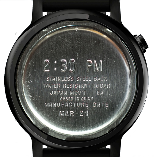 Stainless Steel Watch Face أيقونة
