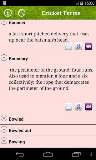 Cricket Terms screenshot 3