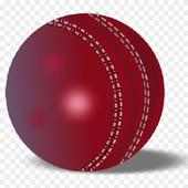 OLW Cricket