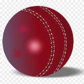 OLW Cricket 5