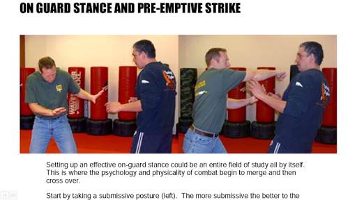 Effective Self Defence for Street Fighting screenshot 4
