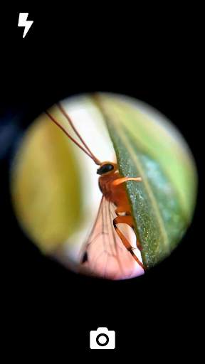 GoCamera - Microscopic Camera screenshot 1