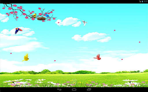 Sky Birds Live Wallpaper Free screenshot 8