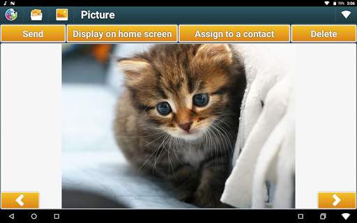 Elementique Senior - Launcher screenshot 15