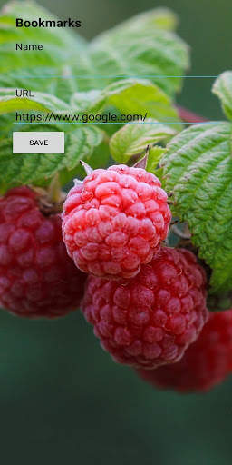 AvEs Browser screenshot 8