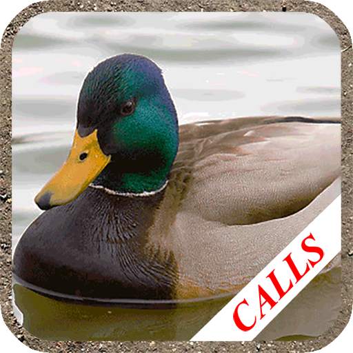 Duck hunting calls 4.99