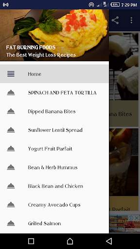 Best Fat Burning Foods screenshot 2
