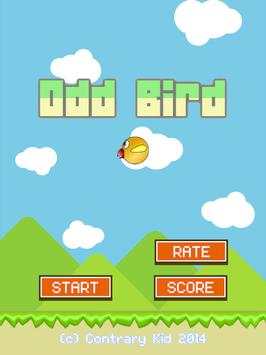 Odd Bird screenshot 5