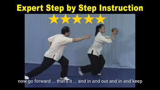 Tai Chi Ball Qigong (Dr. Yang) screenshot 11