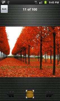 HD Wallpapers Galaxy S Plus screenshot 4
