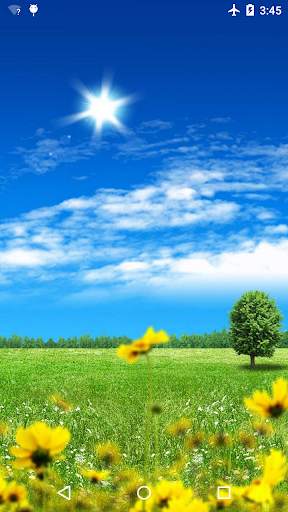 Summer Flowers Live Wallpaper screenshot 1
