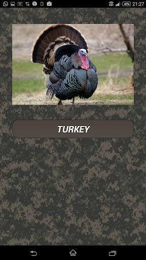 Turkey hunting calls screenshot 1