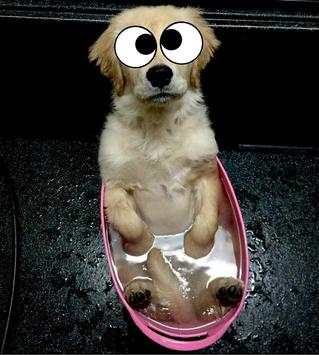 Googly Eyes Camera screenshot 4
