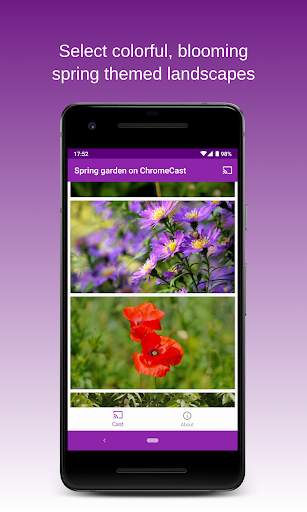 Spring Garden on Chromecast🌷Live wallpapers on TV screenshot 5