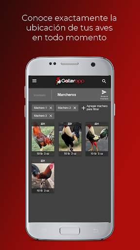 Gallerapp screenshot 5