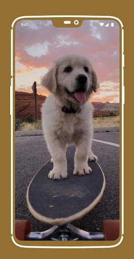 Cute Puppy Wallpapers screenshot 5