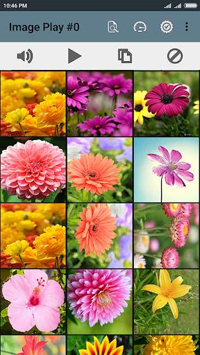 Image play screenshot 8
