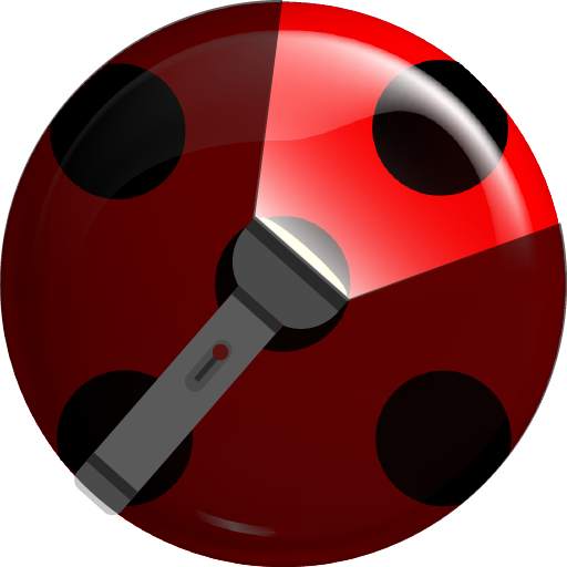 Ladybird 🐞 Flashlight: Miracle torch 2.2