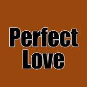 Perfect Love Song logo