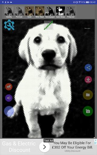 Picnoir Black and White Camera screenshot 9